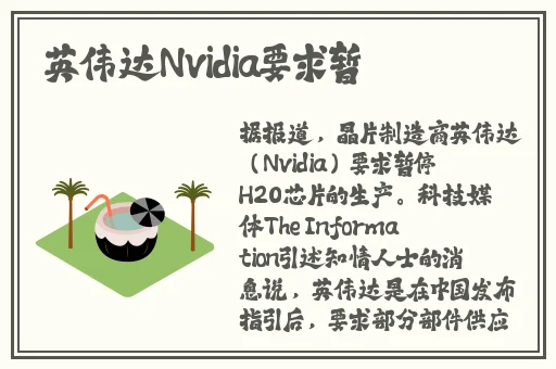 久久久一本精品久久精品六六